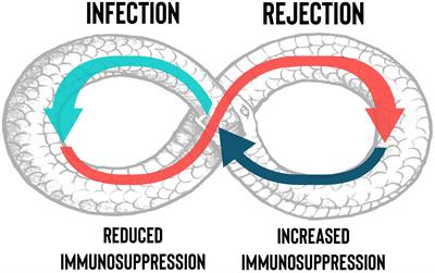 Immunopathology of lung transplantation: from infection to rejection and vice versa